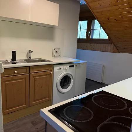 Апартаменты Wesley Panorama - Penthouse For Family & Friends Кандерштег