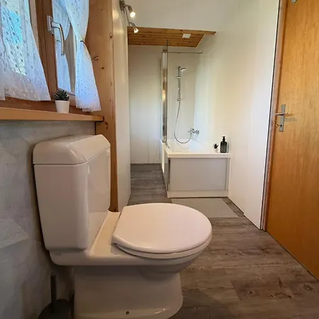 Appartement Wesley Panorama - Penthouse For Family & Friends Kandersteg