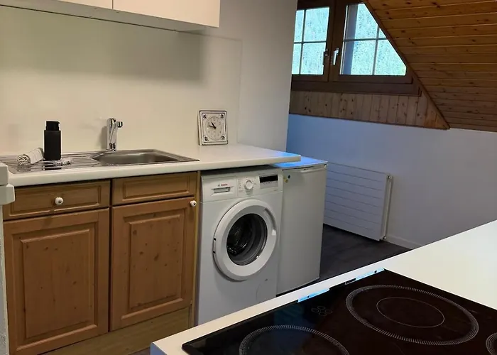 Lejlighed Wesley Panorama - Penthouse For Family & Friends Kandersteg