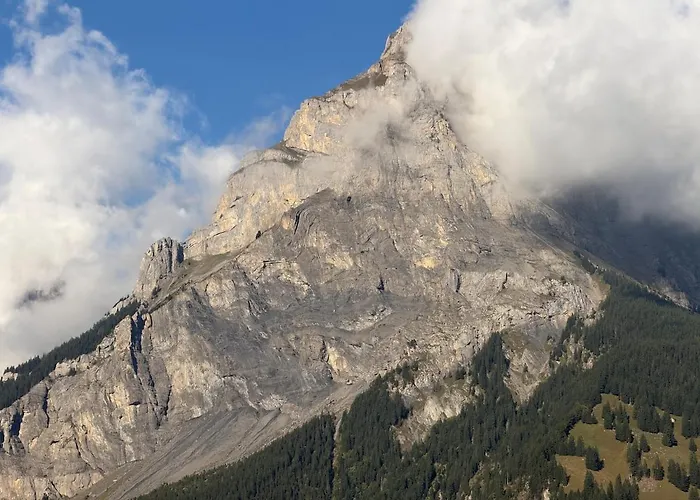 Wesley Panorama - Penthouse For Family & Friends * Kandersteg