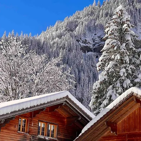 Wesley Panorama - Penthouse For Family & Friends Apartment Kandersteg